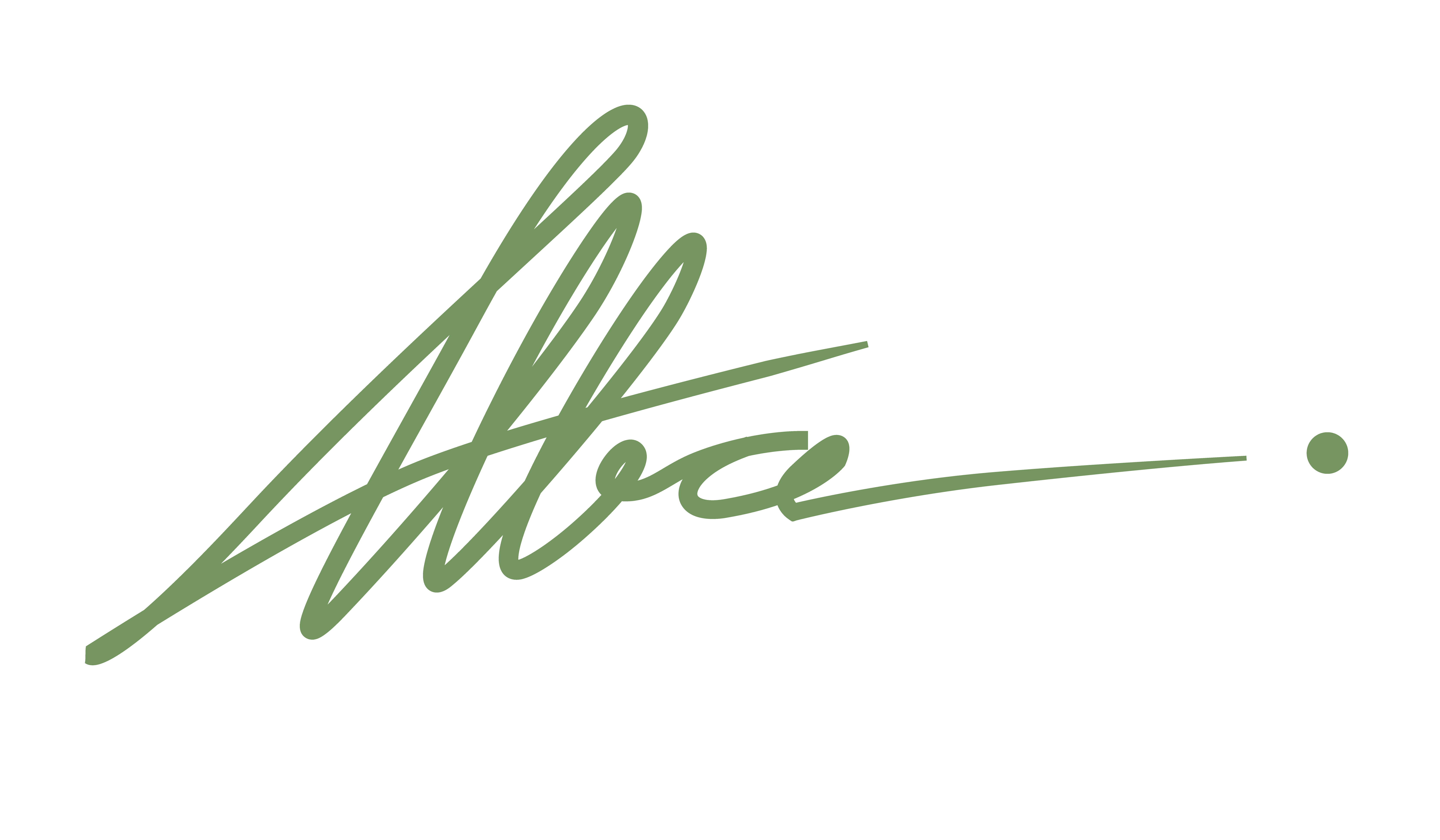 Founder signature
